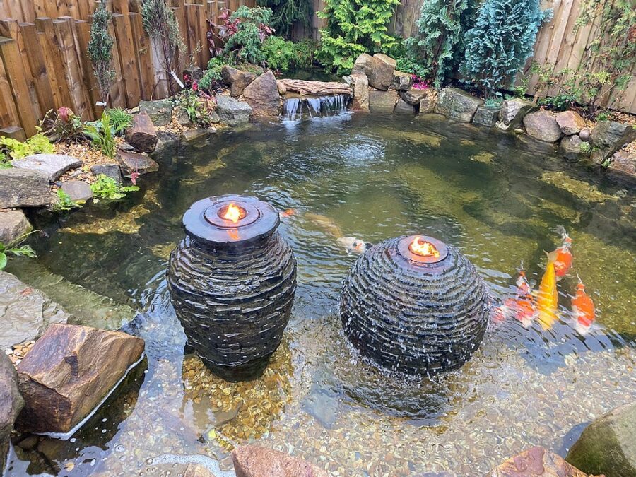 Koi Fish Water Ponds